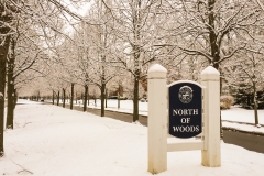 Environment 12